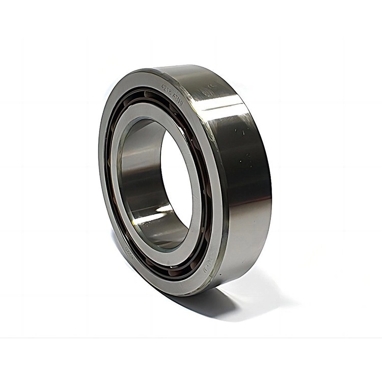 4218 ATN9 Double Row Deep Groove Ball Bearings.jpg