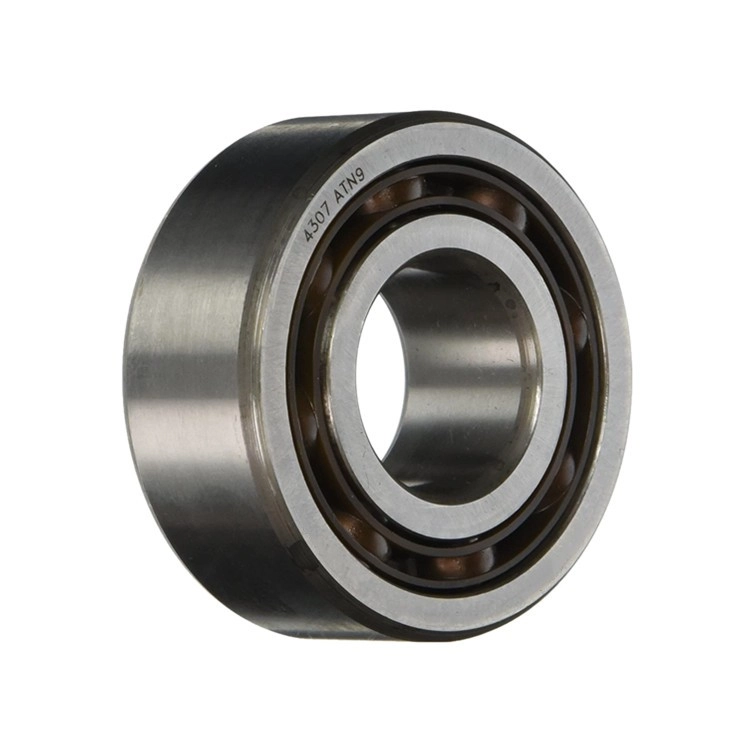 4309 ATN9 Double Row Deep Groove Ball Bearings.jpg