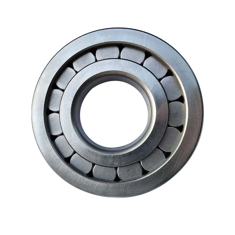 sl18-3004-single-row-full-complement-cylindrical-roller-bearings-20-mm-x-42-mm-x-16-mm.jpg