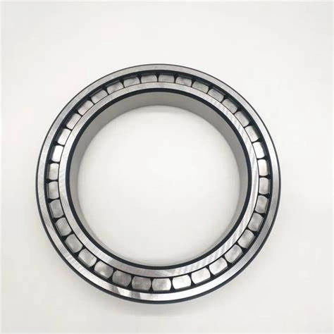 sl18-5004-double-row-full-complement-cylindrical-roller-bearings-20-mm-x-42-mm-x-30-mm.jpg